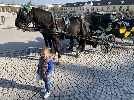 Kočáry ke koloritu Vídně neodmyslitelně patří